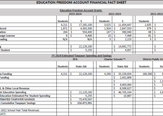 EFA Financial Fact Sheet